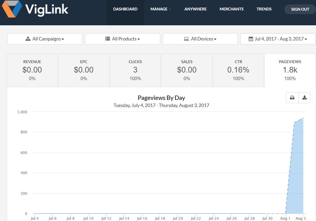 Viglink Dashboard after setting up it on WordPress