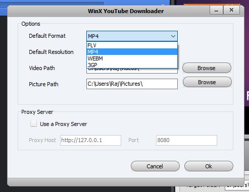 Setting of WinX Youtube downloader in MP4