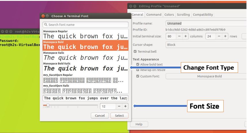 How to change font and size in Ubuntu