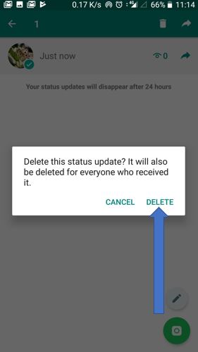 tap on delete optionto delete the whatsapp status for others