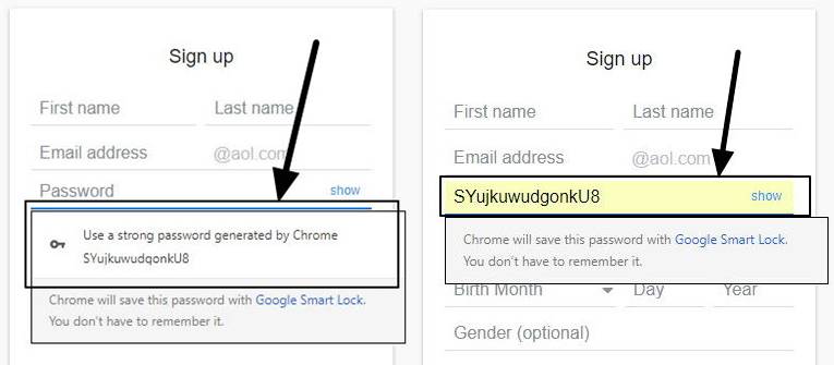 Google Chrome inbuilt password protection for websites