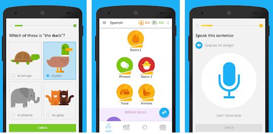 Duolingo app for Learn Languages Free on Android and iPhone