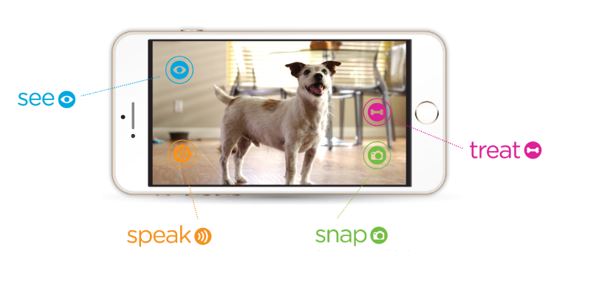 Petzi cam For dogs, cats