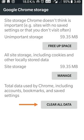 Clean all chrome storage and profile and other data including settings
