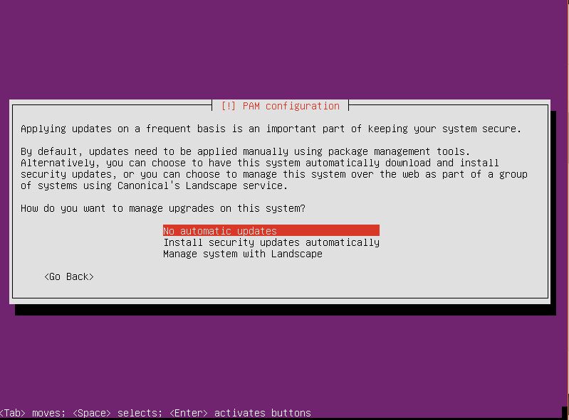 Install Ubuntu minimal configuration updates