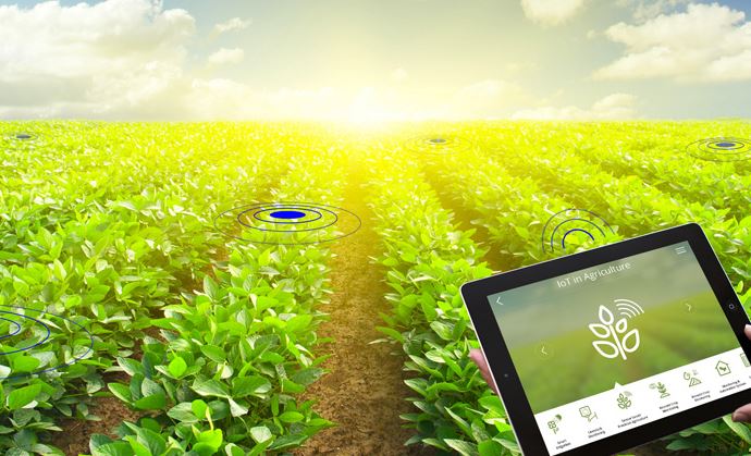 Common terms definitions in smart agriculture