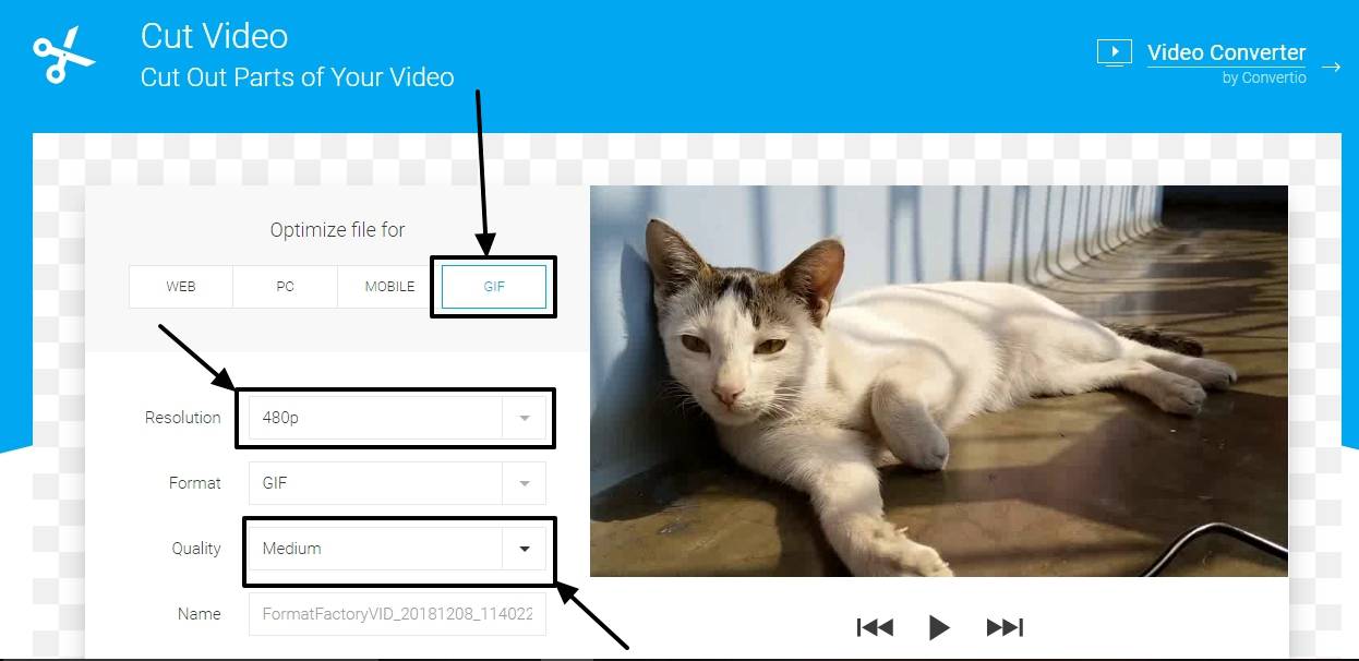 How to make GIFs from videos online for all kinds of requirements 3