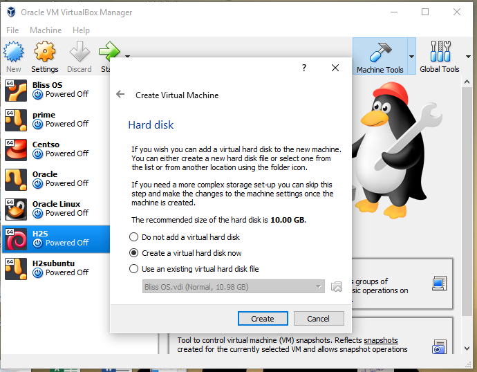 Create virtual hard disk to install Ubuntu 19.04