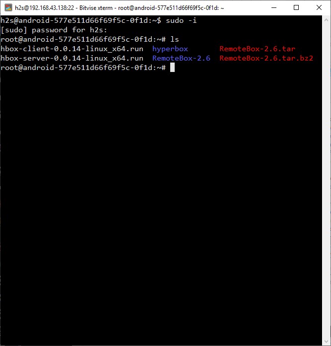 command line terminal Bitvise SSH client windows