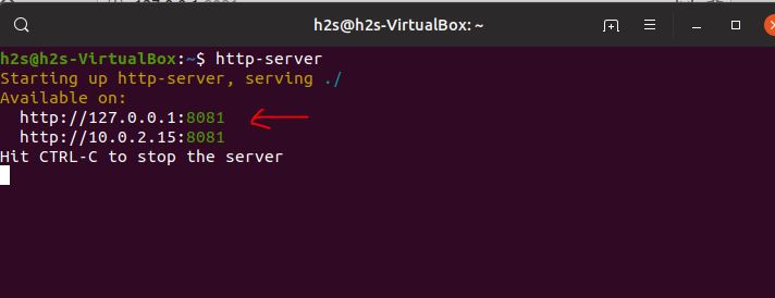 setup http-server on Node JSusing npm