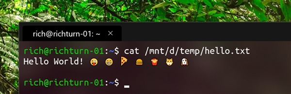 Windows terminal app support emoticons