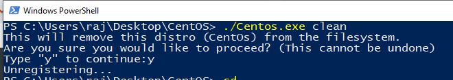 command to clean up centos WSL