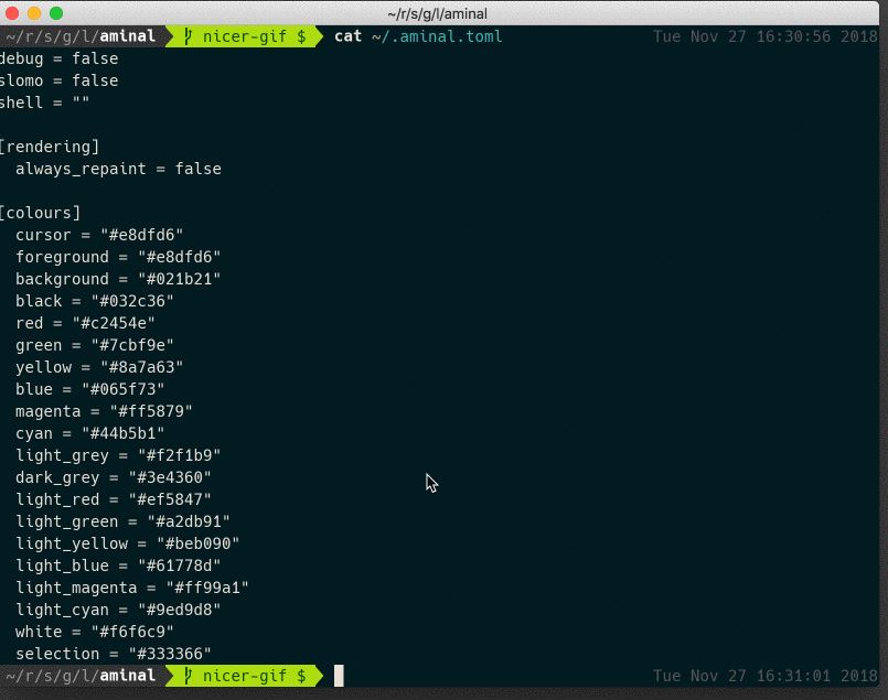 Aminal- Terminal emulator for Linux