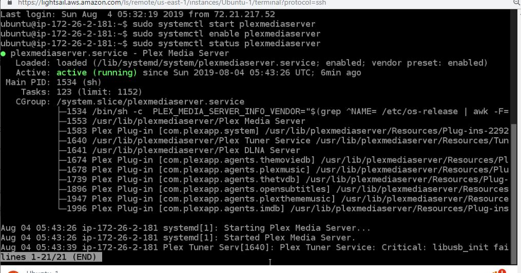 Plex media server service status