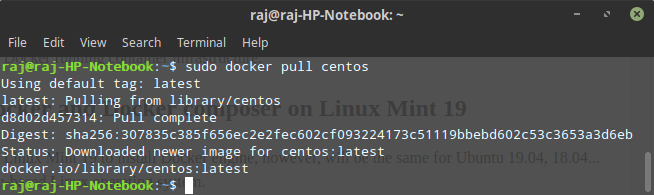 Docker installation on Linux mint 19