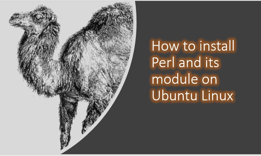 How to install Perl on Ubuntu 18.04