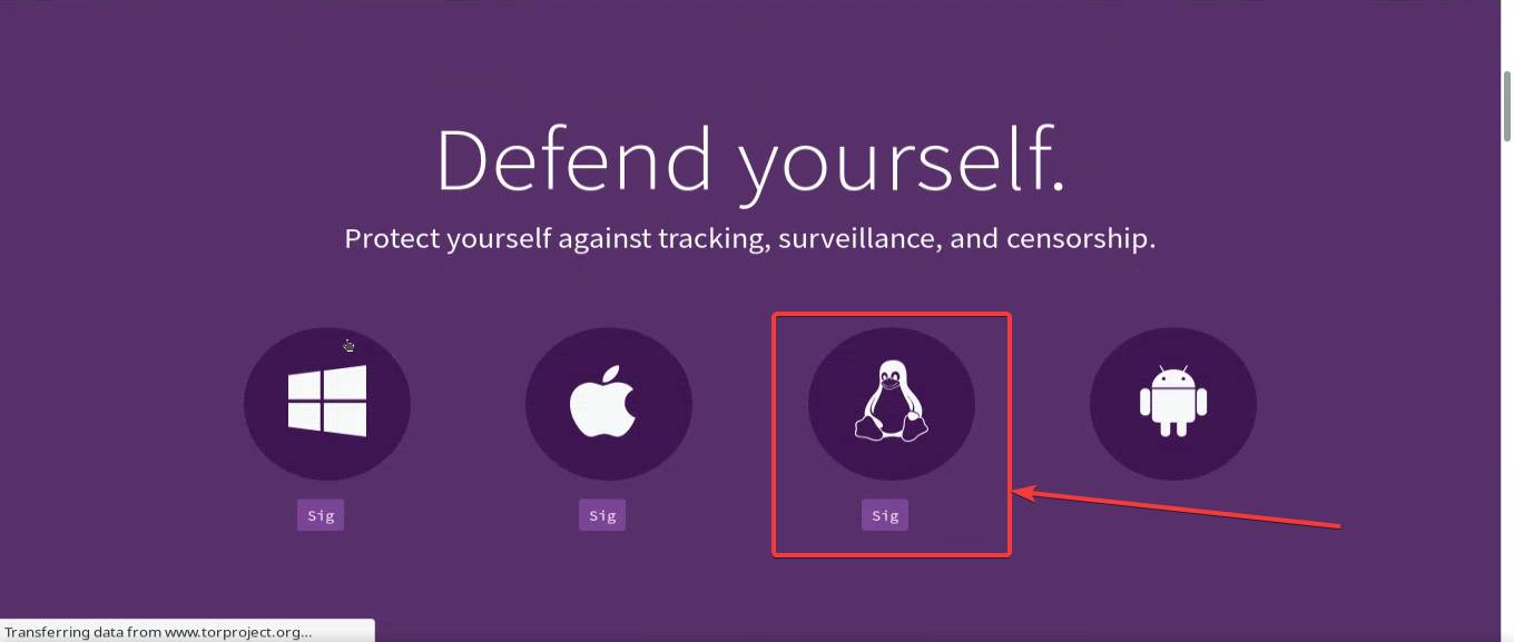 Tor browser manjaro gidra как попасть в даркнет с андроид gidra