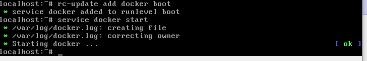 Add docker service to boot level-min