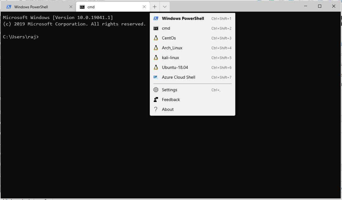 Microsoft Windows Terminal Preview v0.8 download
