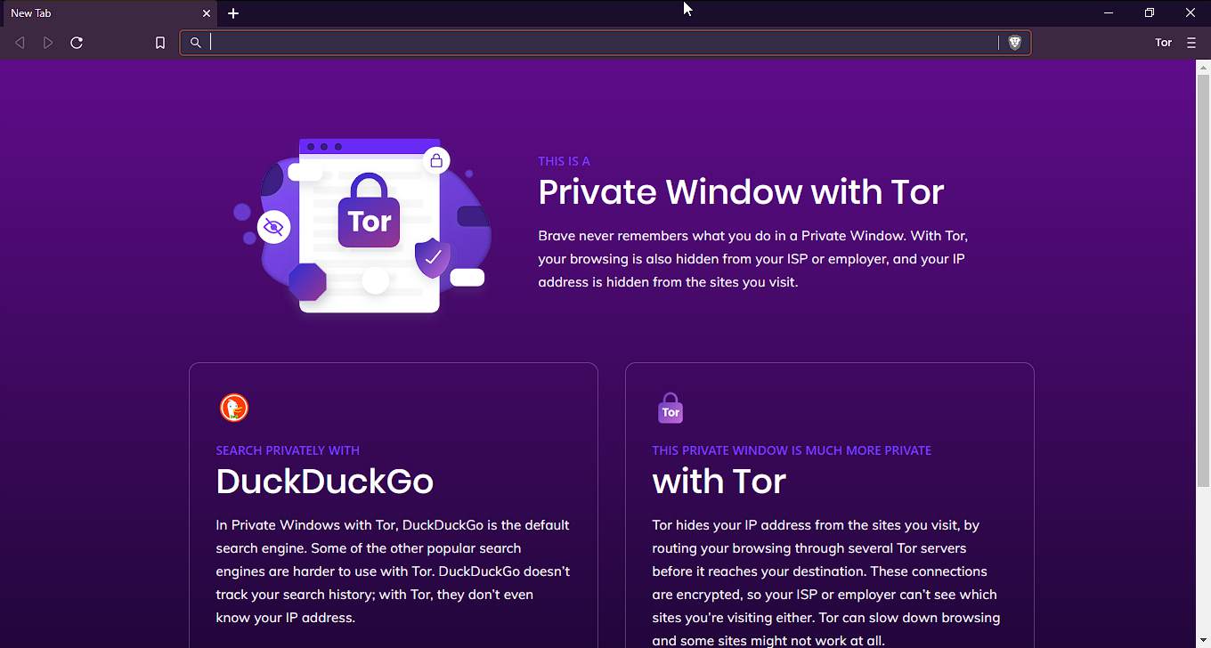 tor browser not working windows mega