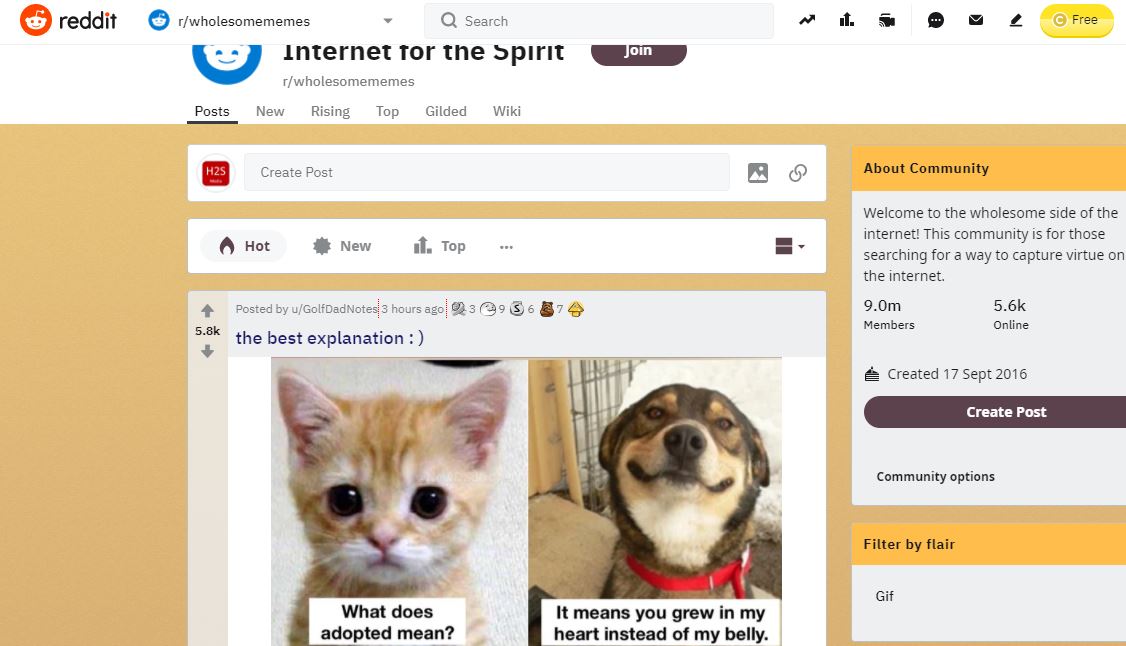 Internet for the Spirit best subreddit min