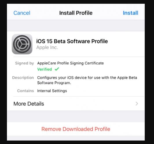iOS 15 Software Beta profile install min