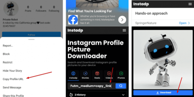 View or download Profile picture of Private Instagram accounts
