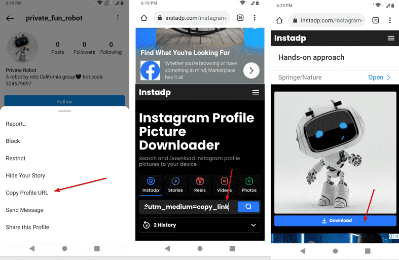 Instagram shows 0 posts on private account