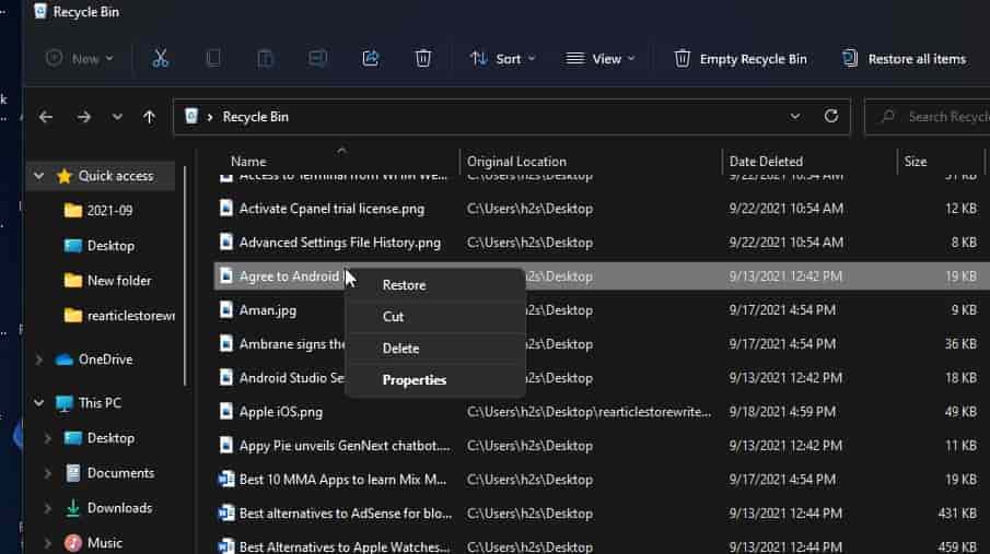 Recover files from Recycle Bin free