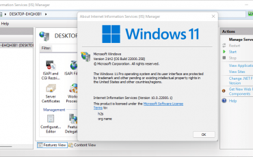 Command to install IIS manager Windows 11