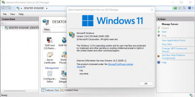 Command to install IIS manager Windows 11