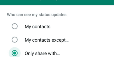 Make WhatsApp Status Visible To selected Contacts