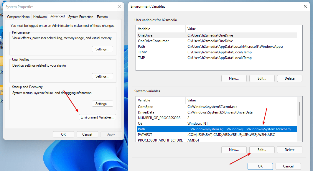 Windows 11 Enviromental variables