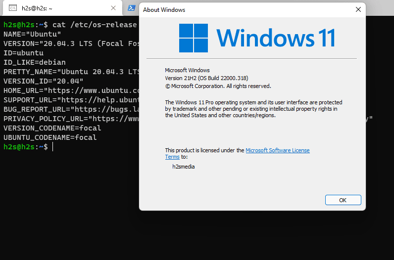 download wsl2 ubuntu for windows 11