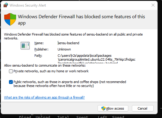 Allow Sensu backend in Windows firewall